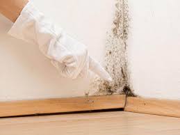 Mold Remediation